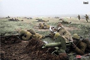 Нет, брат, ты не хочешь? — Не правда ли, что не.